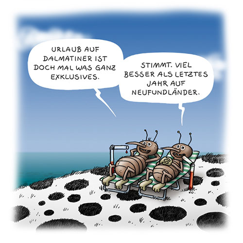 Dalmatiner